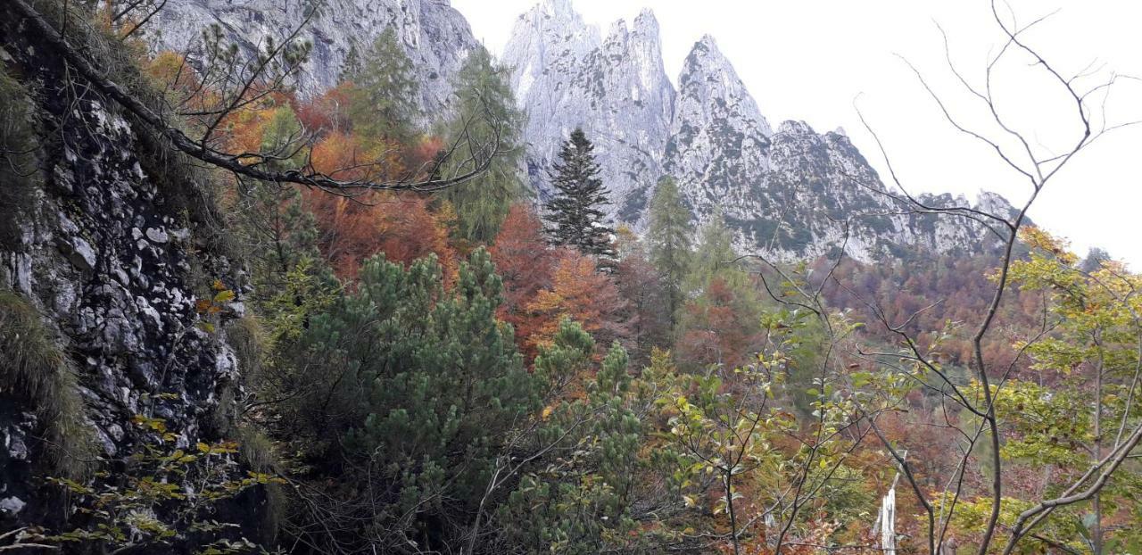 B&B Dolomia Sagron Mis Zewnętrze zdjęcie
