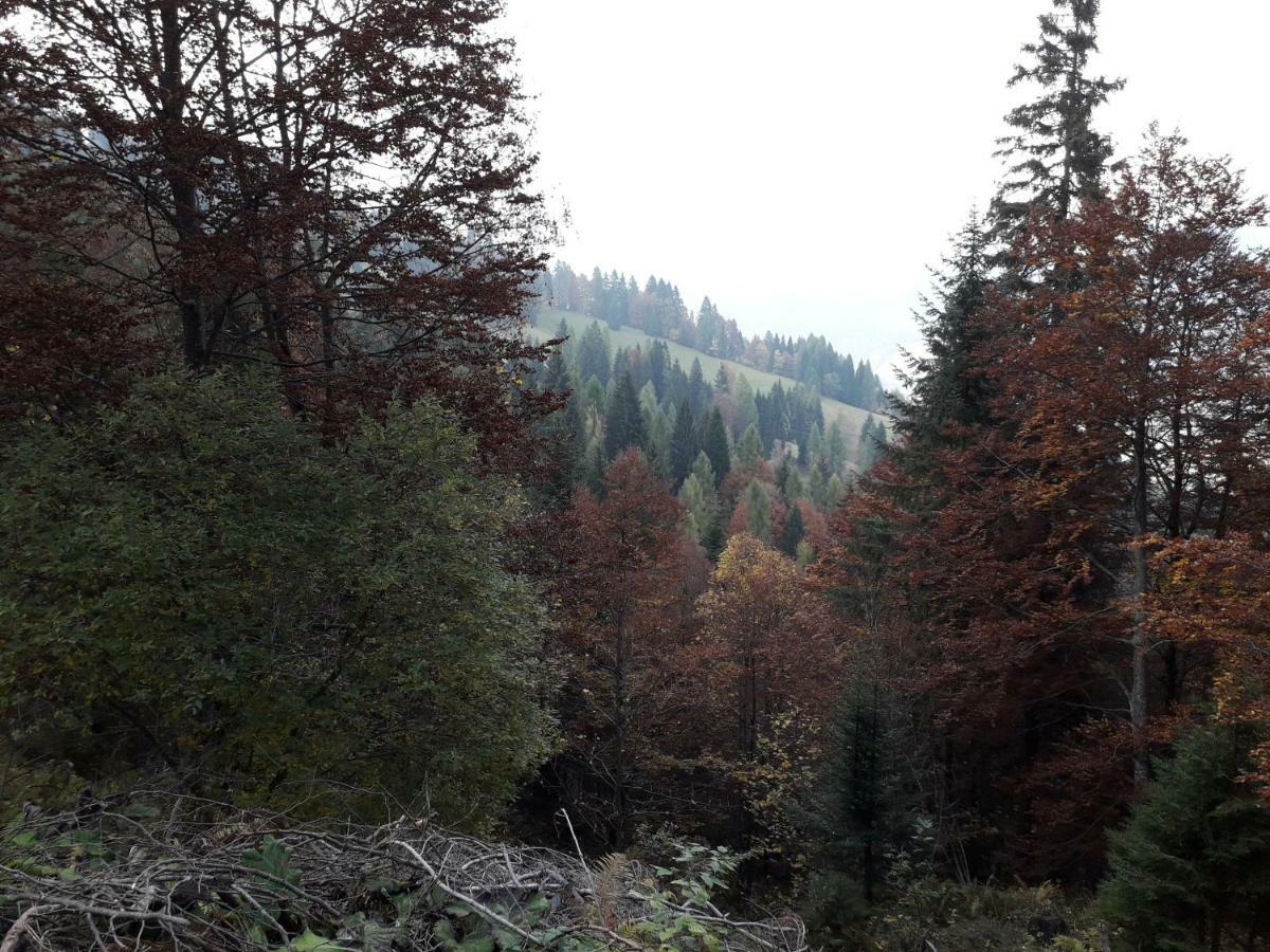 B&B Dolomia Sagron Mis Zewnętrze zdjęcie